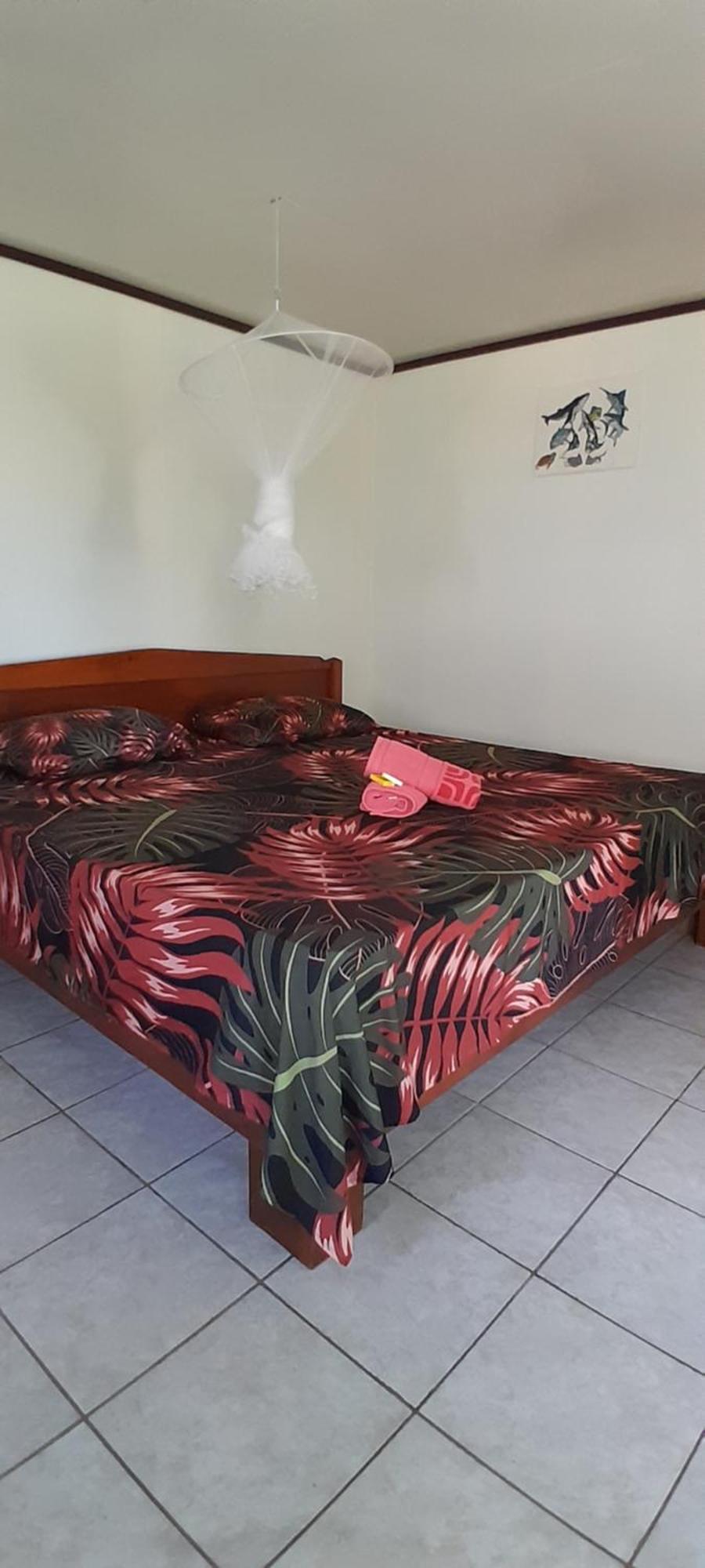 Penu Maurua 1 Apartamento Te-Fare-Arii Exterior foto
